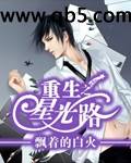 重生之星光路封面