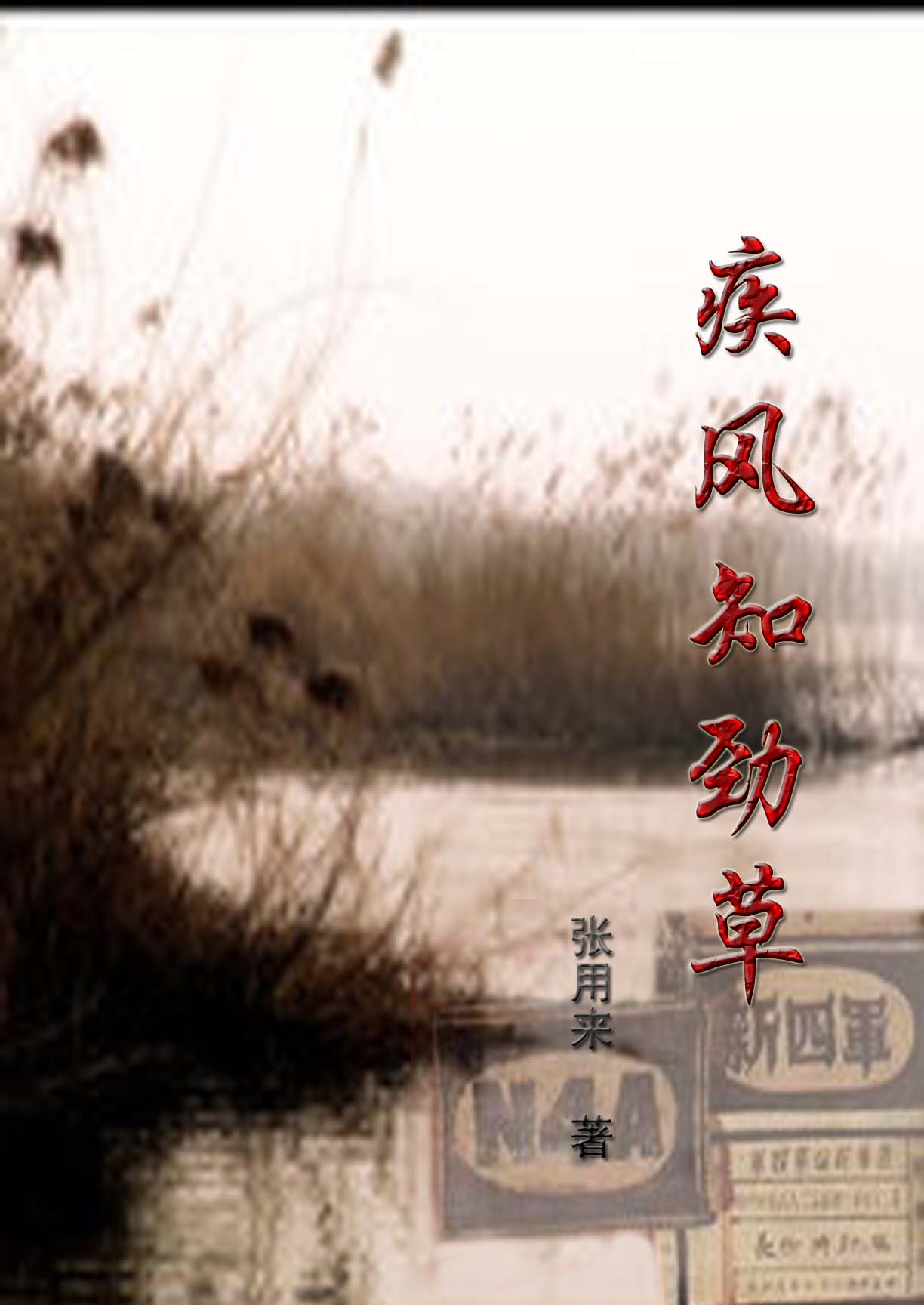 疾风知劲草封面