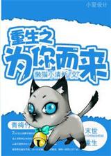 重生之为你而来封面