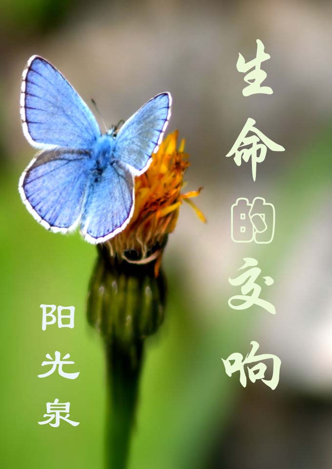 生命的交响封面