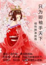 只为卿袖手天下封面