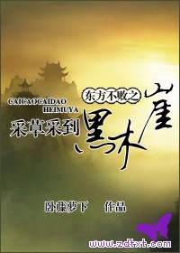 东方不败之采草采到黑木崖TXT封面