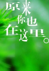原来你也在这里 原来你也在这里