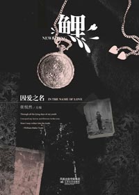 鲤·因爱之名封面