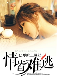 情皆难逃封面