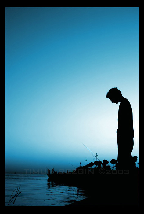 泛爱.调调.封面