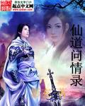 仙道问情录封面