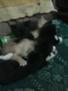 ��Խ֮�ڵ�Ů��