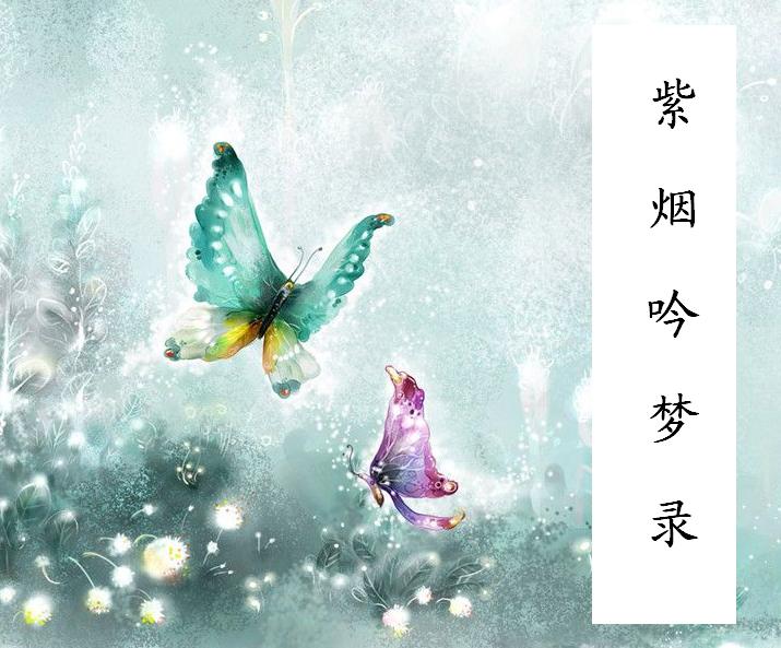 紫烟吟梦录封面