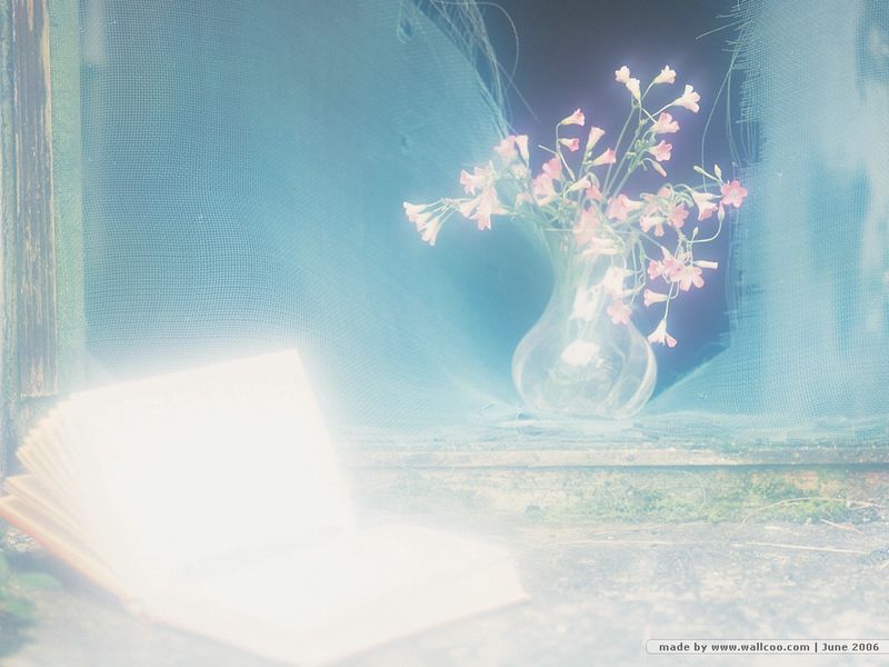 梦的超越 梦的超越