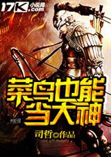 菜鸟也能当大神封面