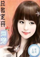 总裁宠妾叫元芳封面