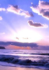 ���һƬ����