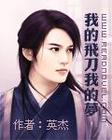 我的飞刀我的梦封面