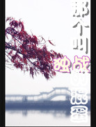 那个叫独战的混蛋 那个叫独战的混蛋