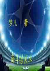 绿茵奋斗录封面