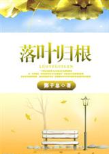 落叶归根 落叶归根