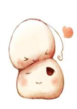 重生之做你老婆封面