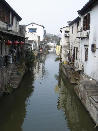 白天鹅与丑小鸭封面