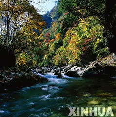 武爷的梦 武爷的梦