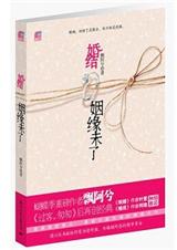 飘阿兮-婚结:姻缘未了(出版)封面