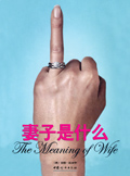 妻子是什么封面