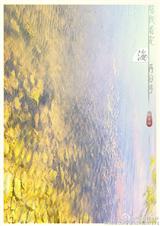 ���ҿ��꺣�ٷ��ַ���