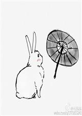 我欲乘风归去封面