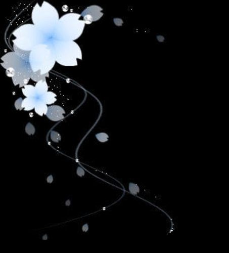 十五的怖白 十五的怖白