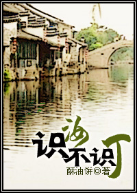 识汝不识丁 识汝不识丁