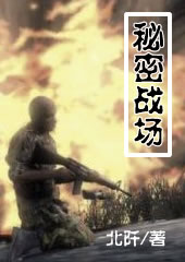 秘密战场封面