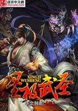 星极武圣封面