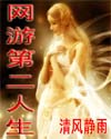网游第二人生封面