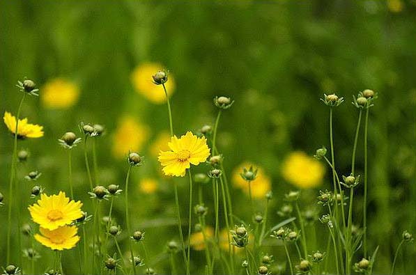 谁说我不在乎 2008封面