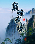 巅峰武境 巅峰武境