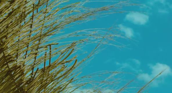 浮尘乱. 浮尘乱.