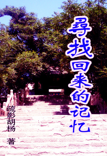 寻找回来的记忆封面