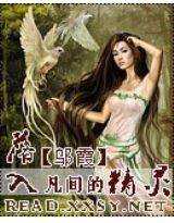 落入凡间的精灵封面