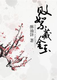 败絮藏金玉封面