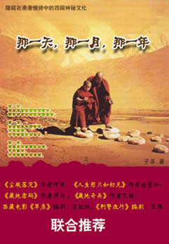 那一天,那一月,那一年封面