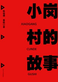 小岗村的故事封面