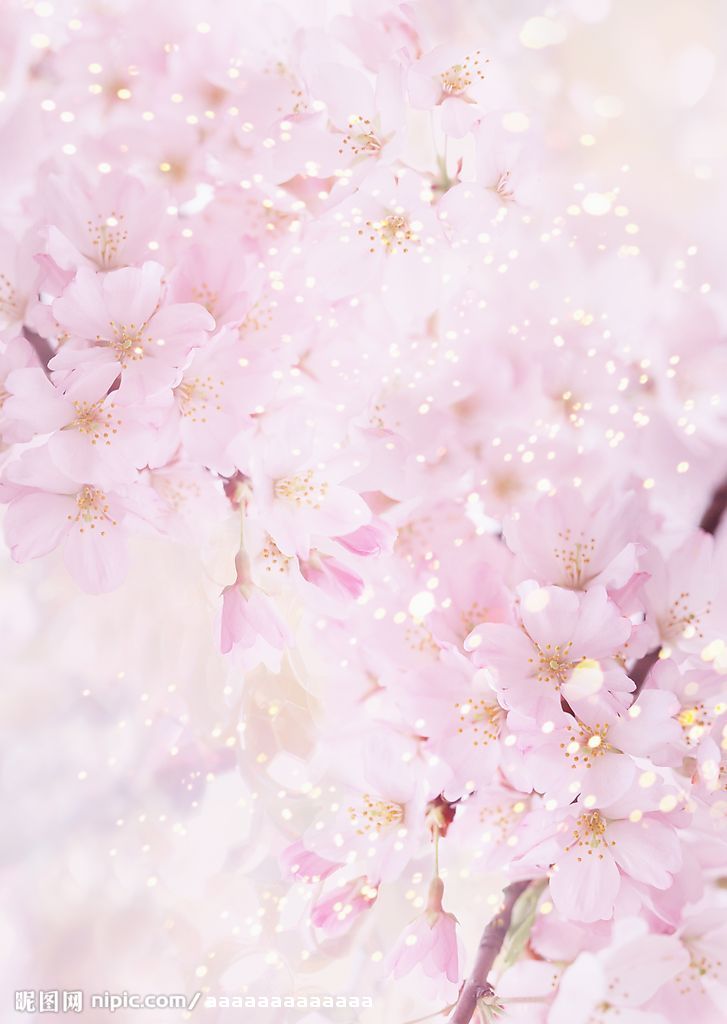 静待轮回 静待轮回