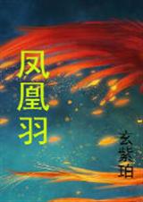 凤凰羽 凤凰羽