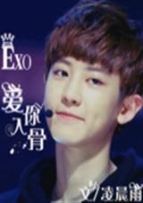 EXO朴灿烈爱你入骨 EXO朴灿烈爱你入骨