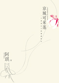 京城可采莲封面