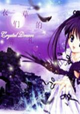 薰衣草我们的葬礼 薰衣草我们的葬礼