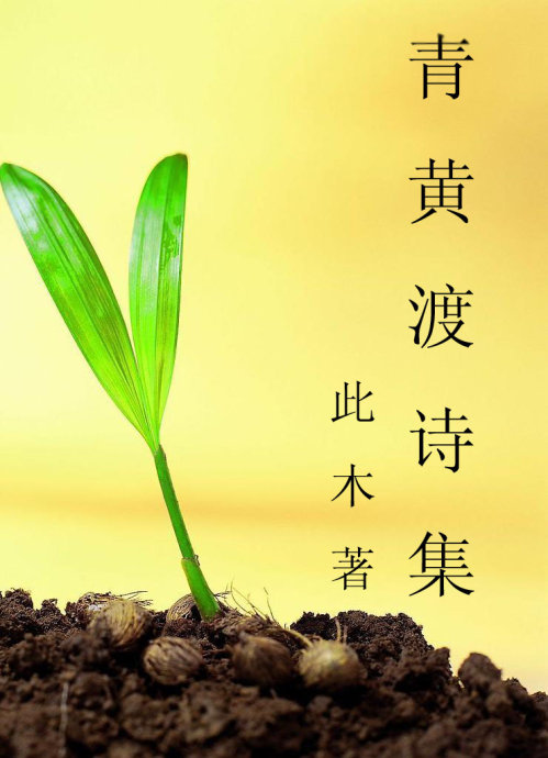 青黄渡诗集封面