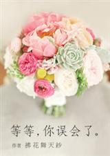 等等!你误会了!封面