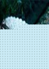 纨绔+番外 纨绔+番外