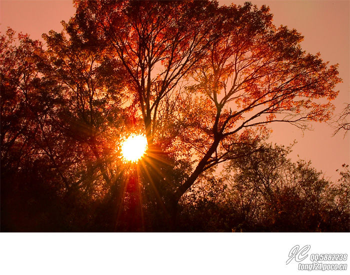 阳光,滑过指缝 阳光,滑过指缝